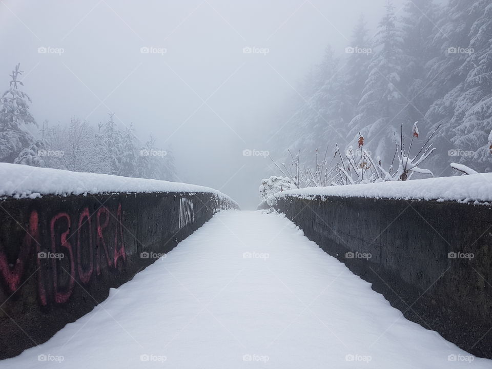 Snowy bridge 