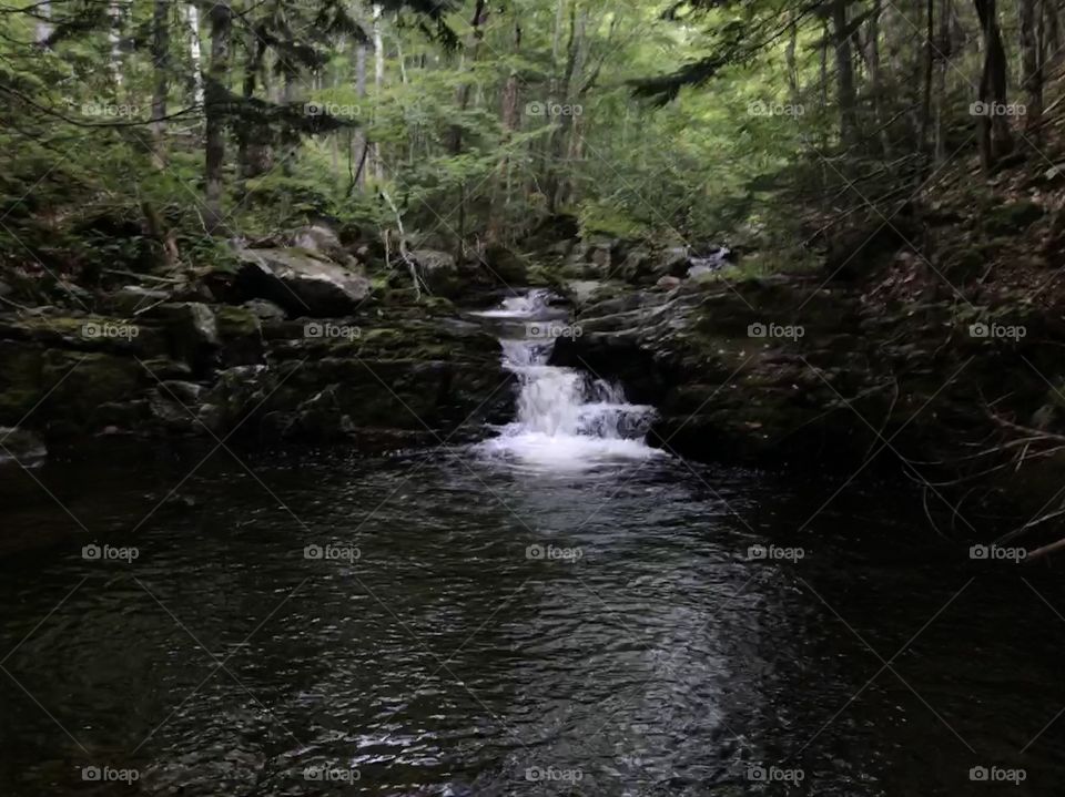 A small, yet still beautiful, waterfall located in the woods on an old logging trail. Nova Scotia, Canada