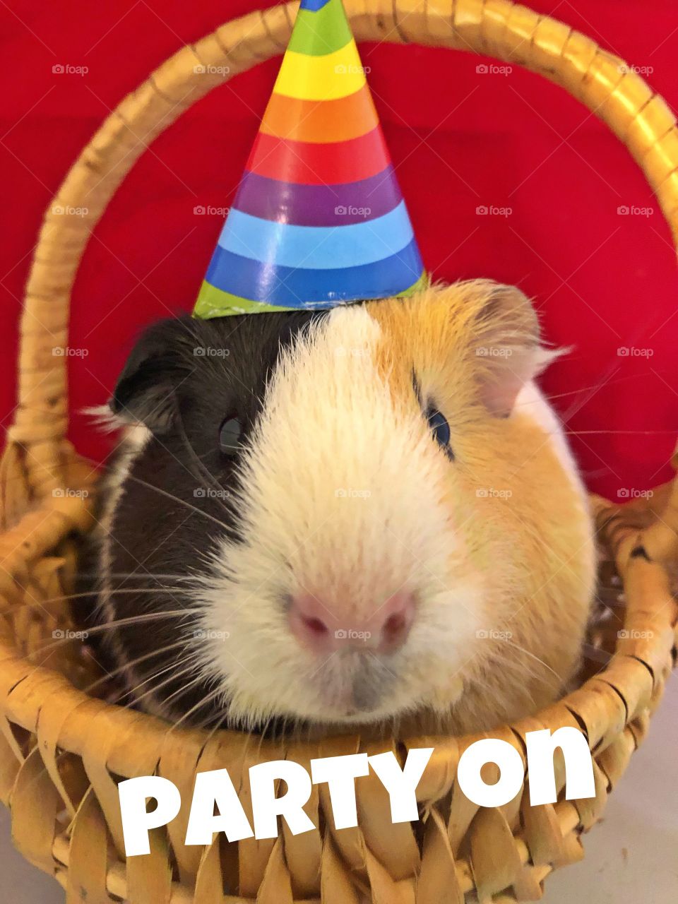 In a party hat