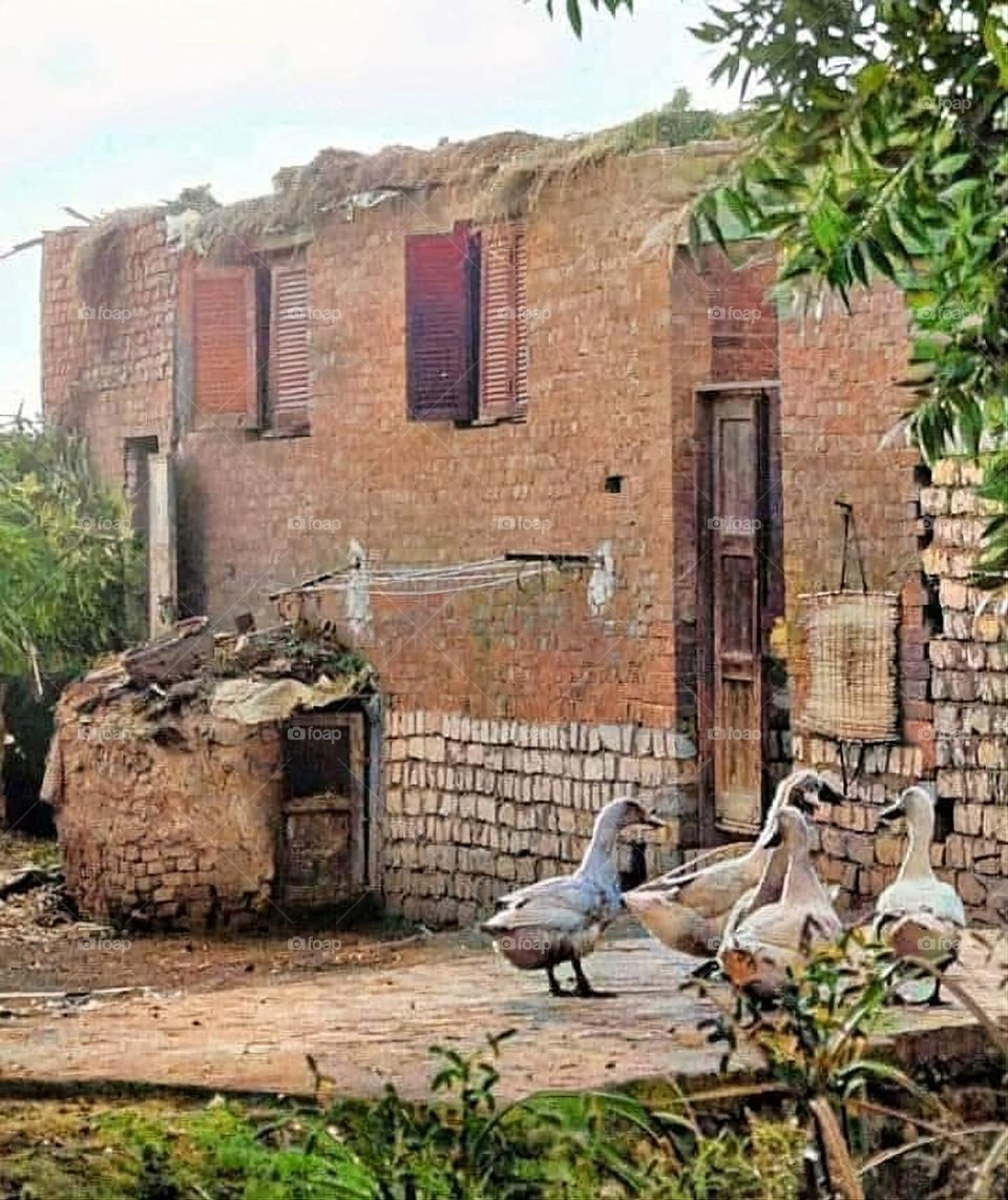 A stunning view of green mountains covered in fog in Yemen