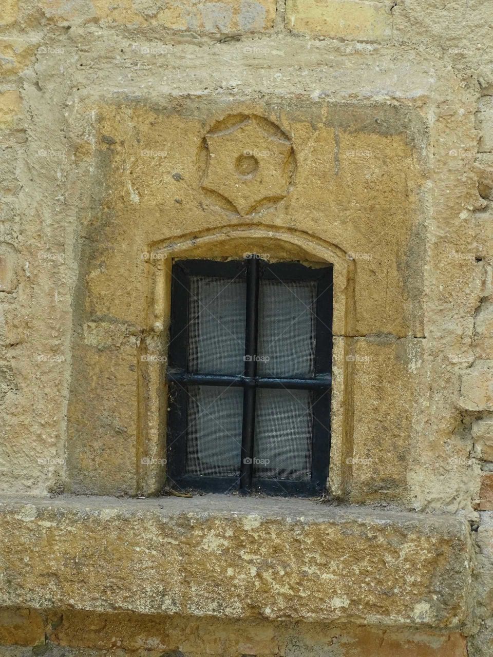 The Window