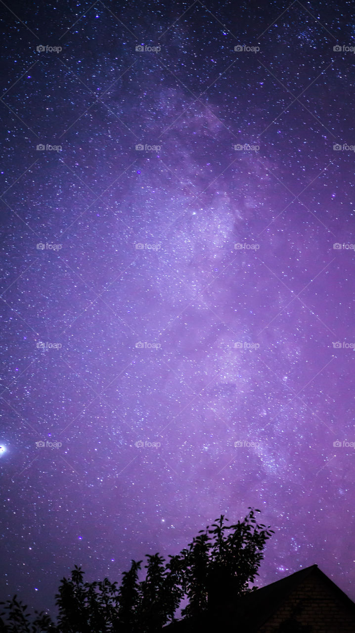 Against the background of a dark and starry night, on which the milky way is like, there is a house, and next to it is a tall tree.