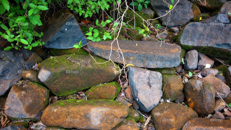 Rochas e vegetais, minérios. Pedras, cores, metais, madeiras, carvão. Matas, rios, ilhas. Fenômenos da natureza. Belezas de nosso planeta.