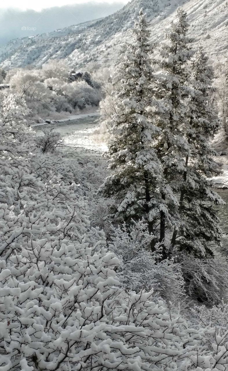 The Roaring Fork River flows through a winter wonderland.
