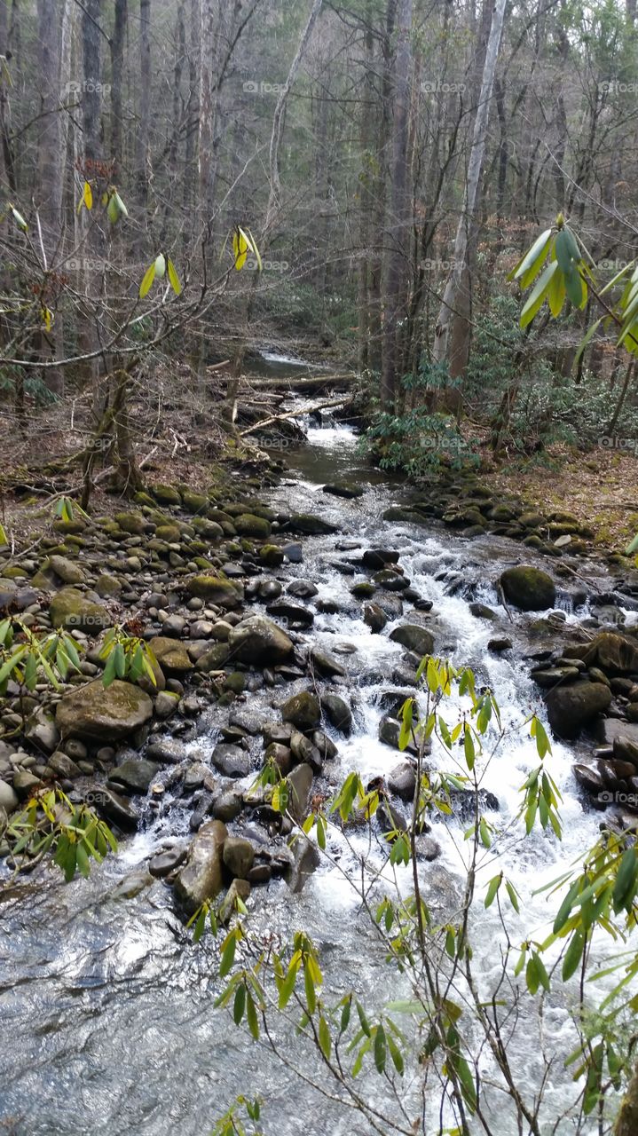 stream coming off waterfall and Tennessee