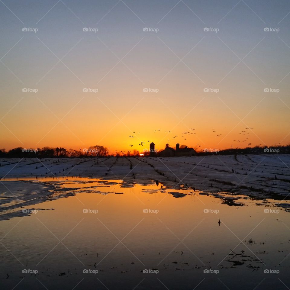 Farm Sunset