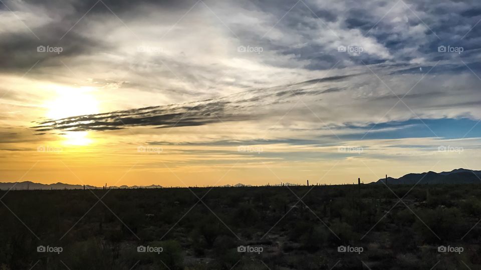 Nature - Desert Landscape 