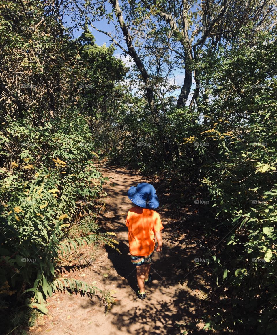 Taking a stroll at the nature park