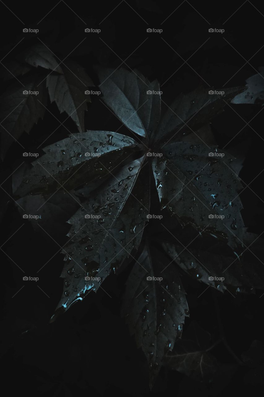 The cool rain felt good against his hot skin, and he stood in the dark walkway between the gym and the house, soothed by the storm. 