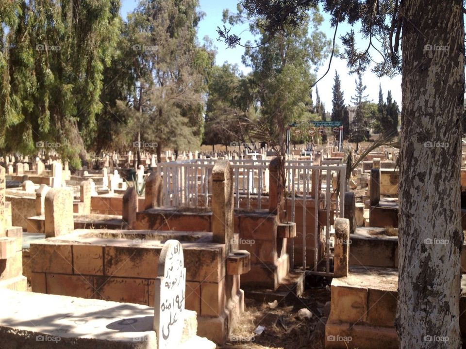 green tree graveyard graves by a.bilbaisi