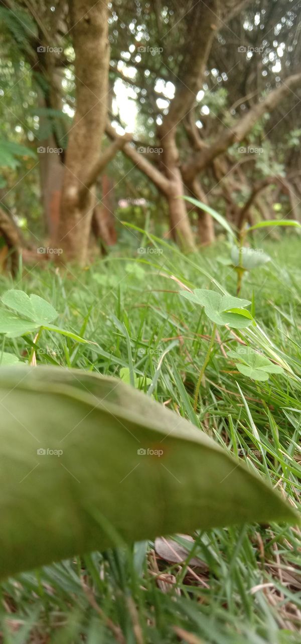 best photo shoot of nature