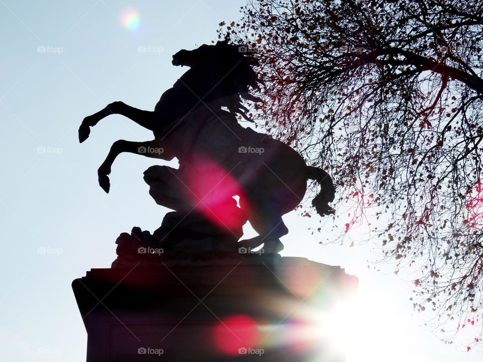 Multicolored sunbeam