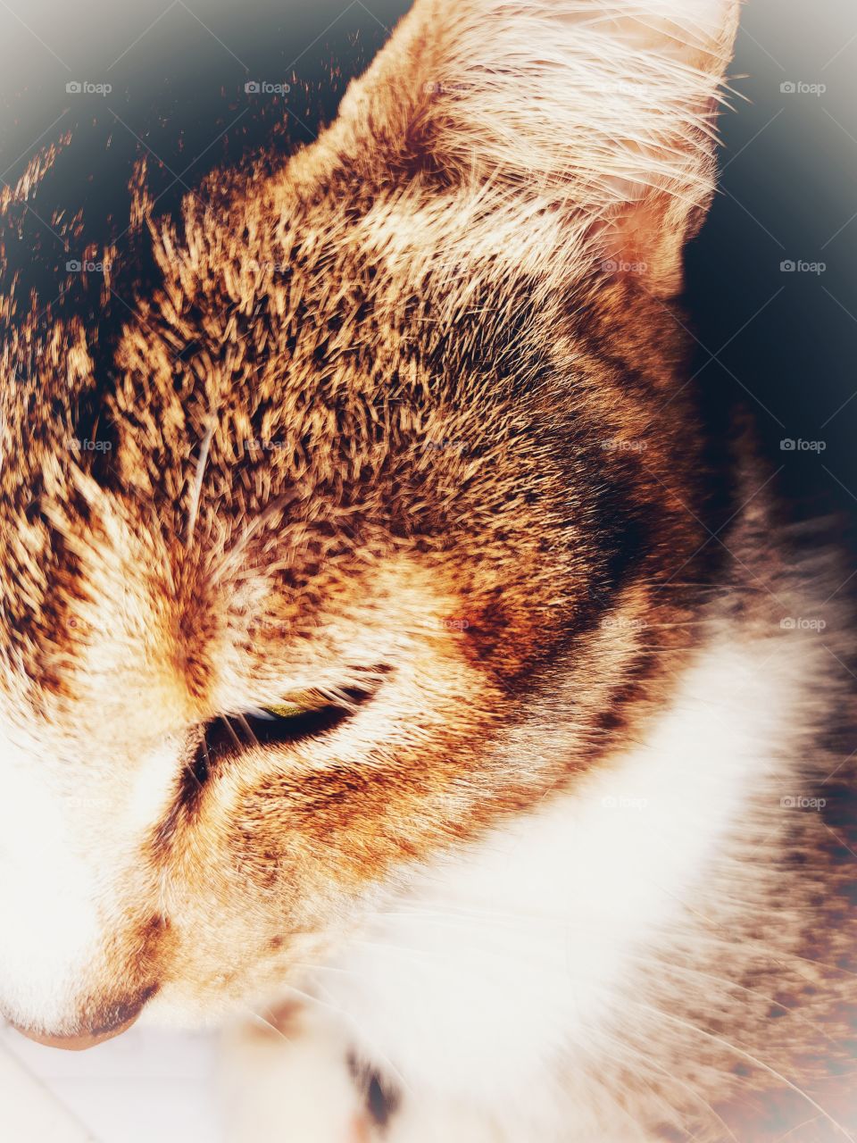 ««ALONE WITH EXTREME DARKNESS»»