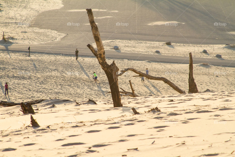 fun at the dunes. having fun in the sand