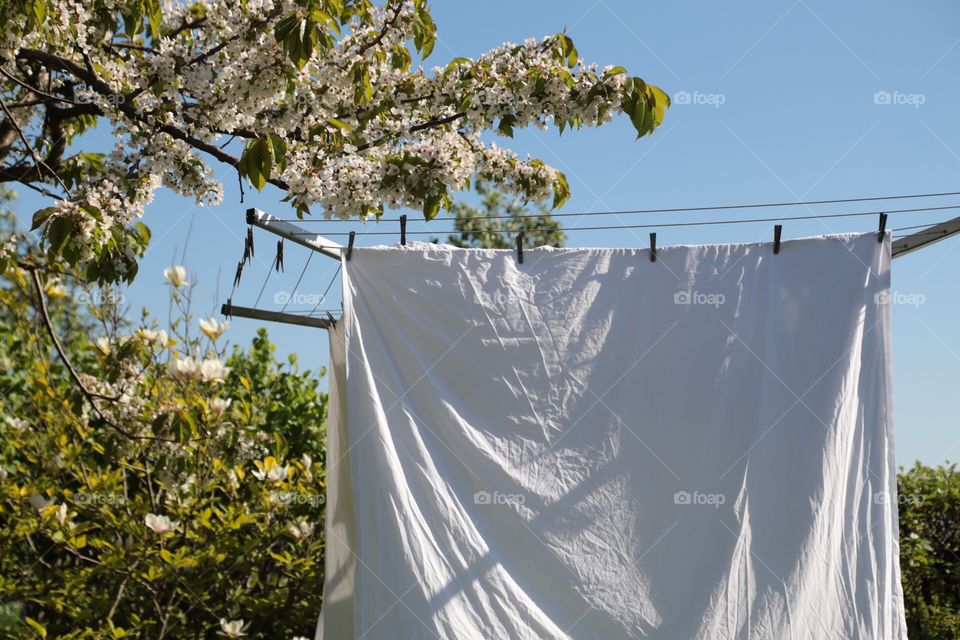 Clean laundry in the garden