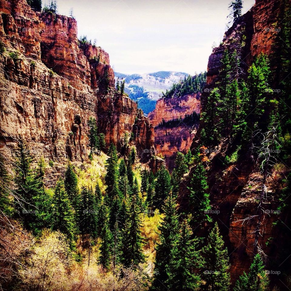Colorado Canyons