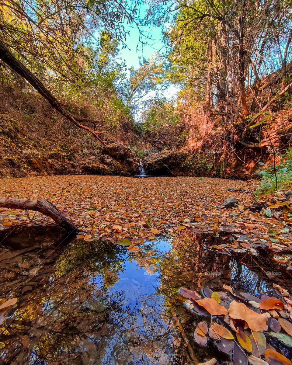 Autumn colors