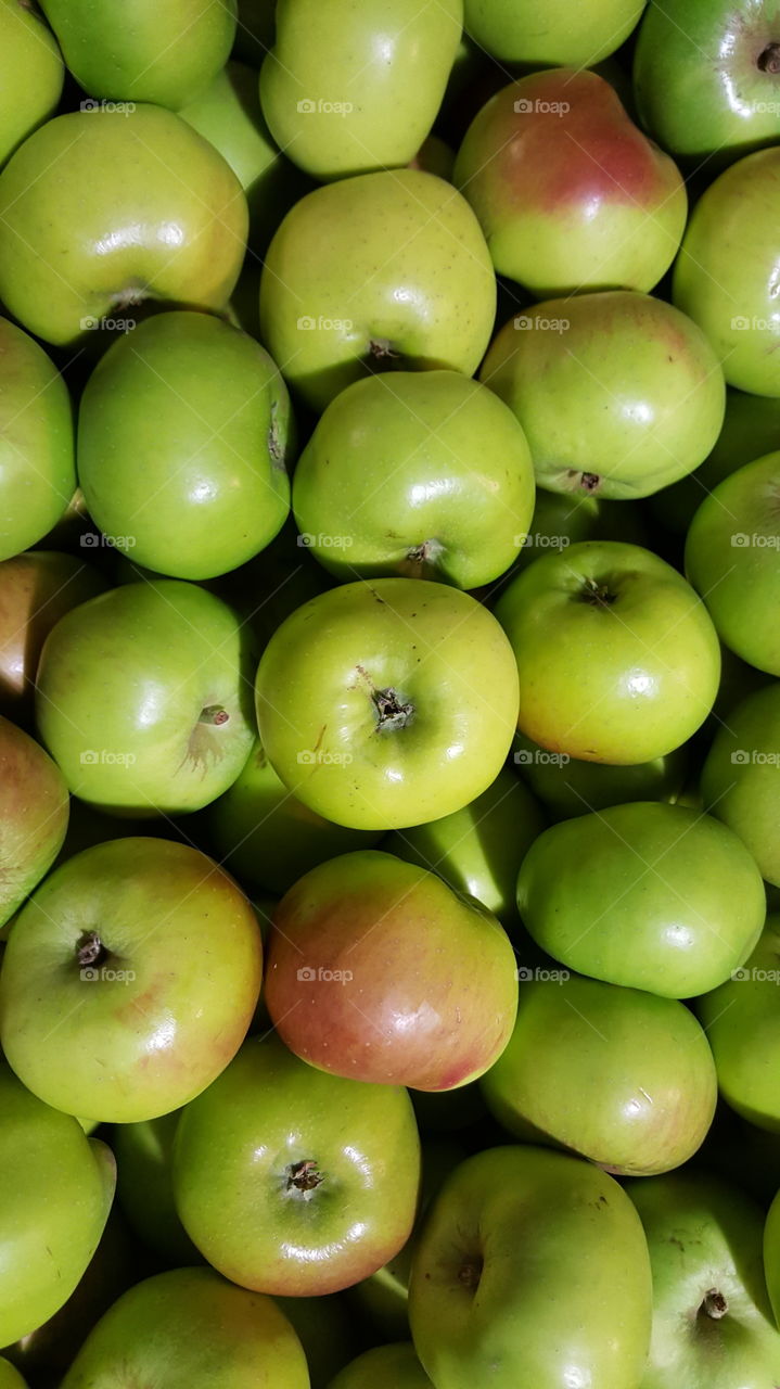 Close-up of crimson bramley apples