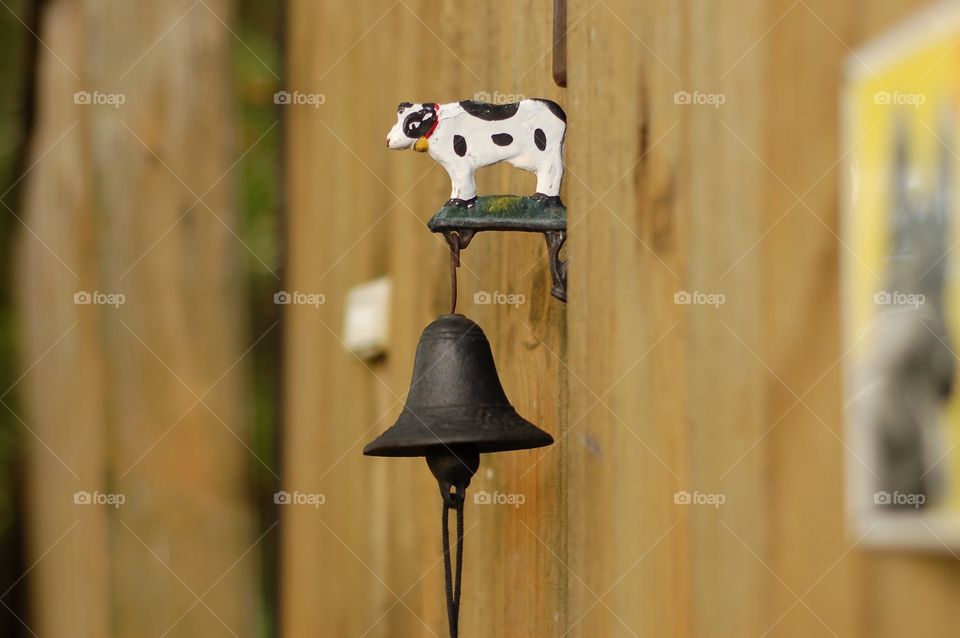cow