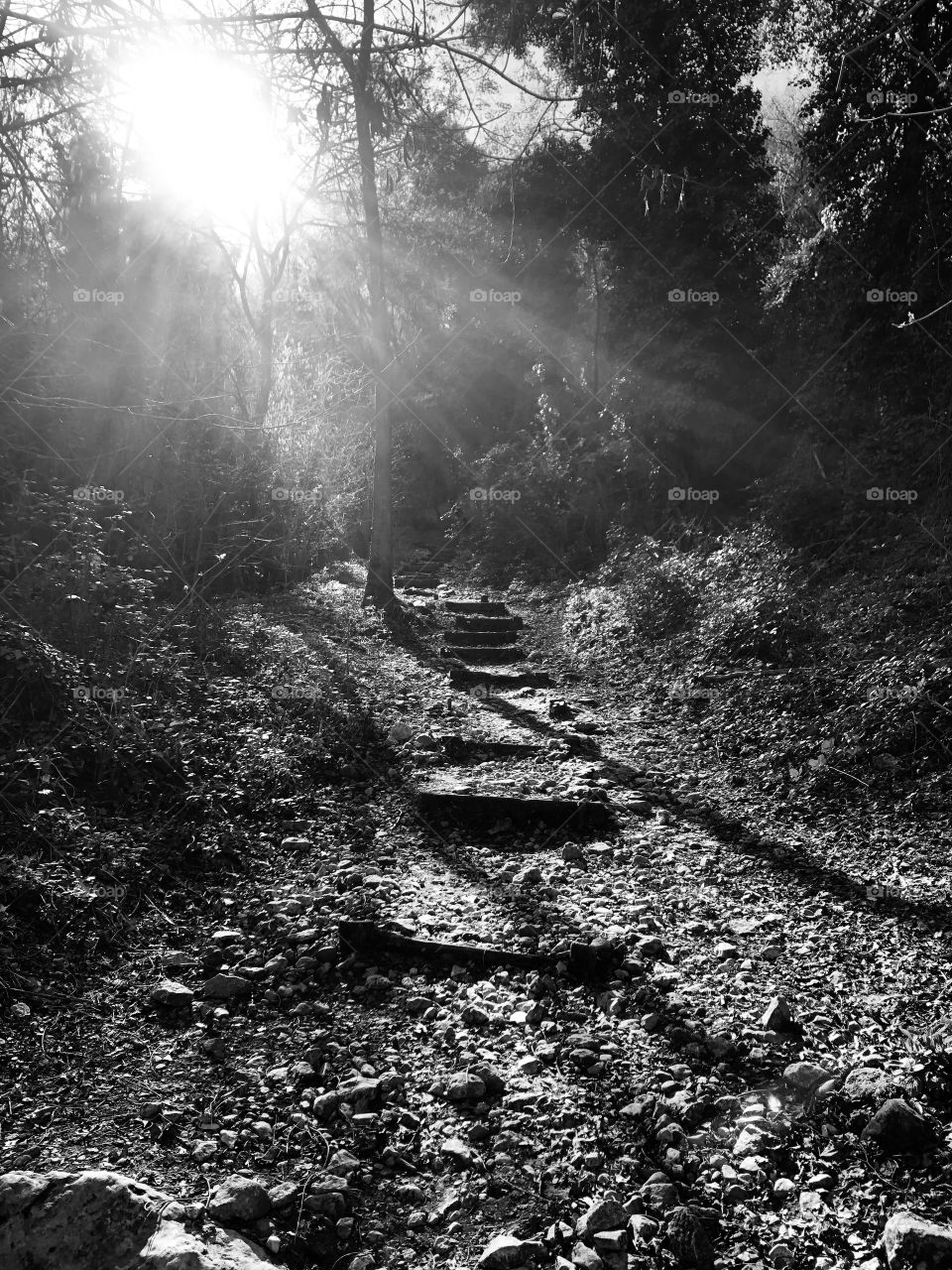 Garda Lake-Italy-path