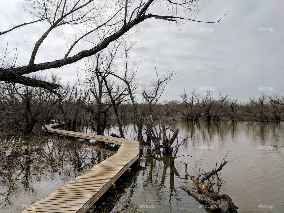 boardwalk through the marsh