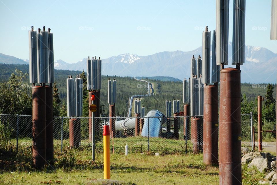 Alaskan pipeline crossing highway