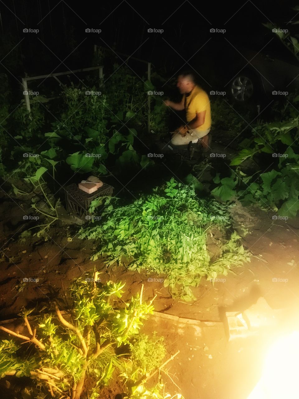 Warrior Night Gardening