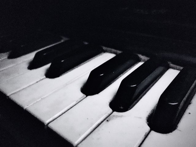 the music instrument