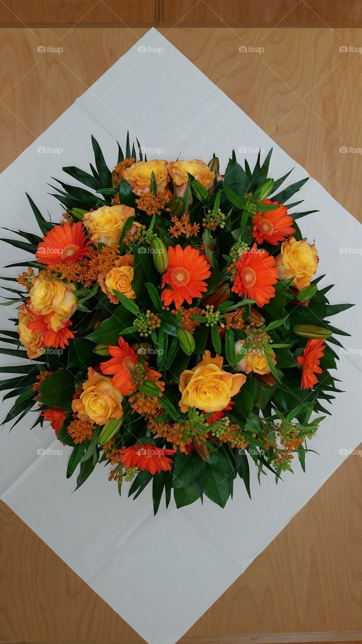 Holland flowers