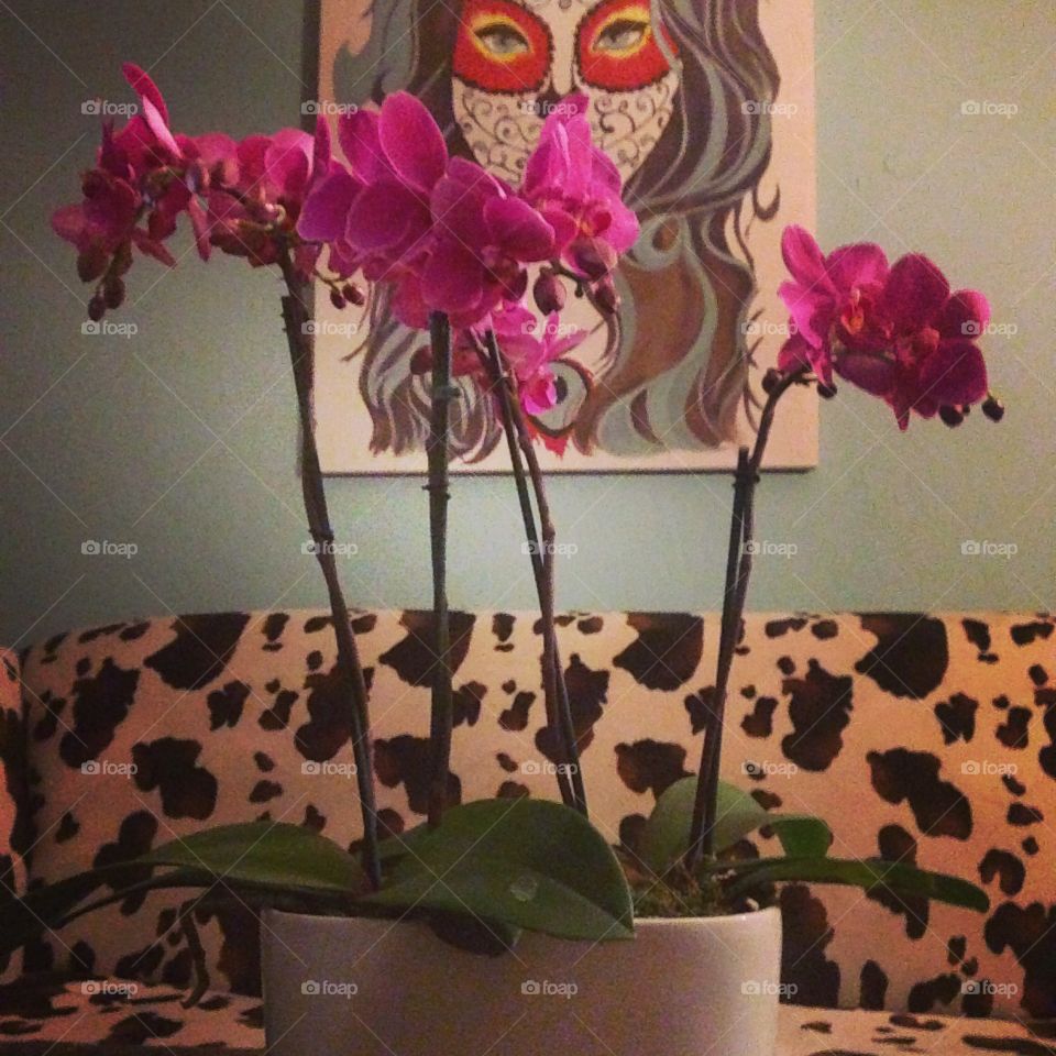 Decoration, Flower, Vase, Design, Flora