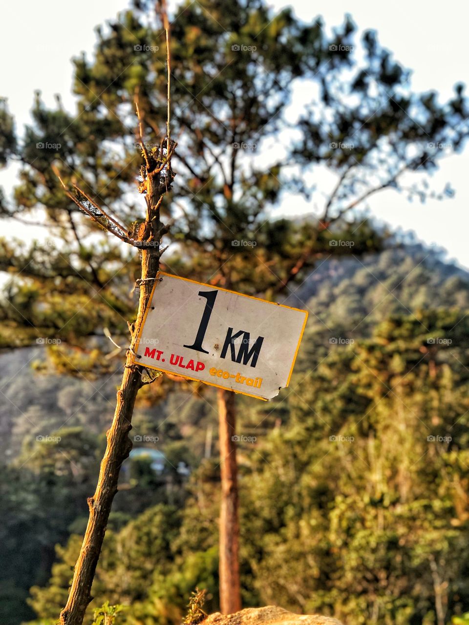 Let's start the climb! 1KM of 9.1KM from the starting trail. Ofcourse I can finish the clim! 💪🏃🚵⛰️🏞️