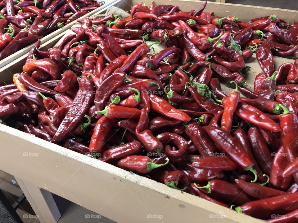 Red Chiles at the southwest farmer's market 