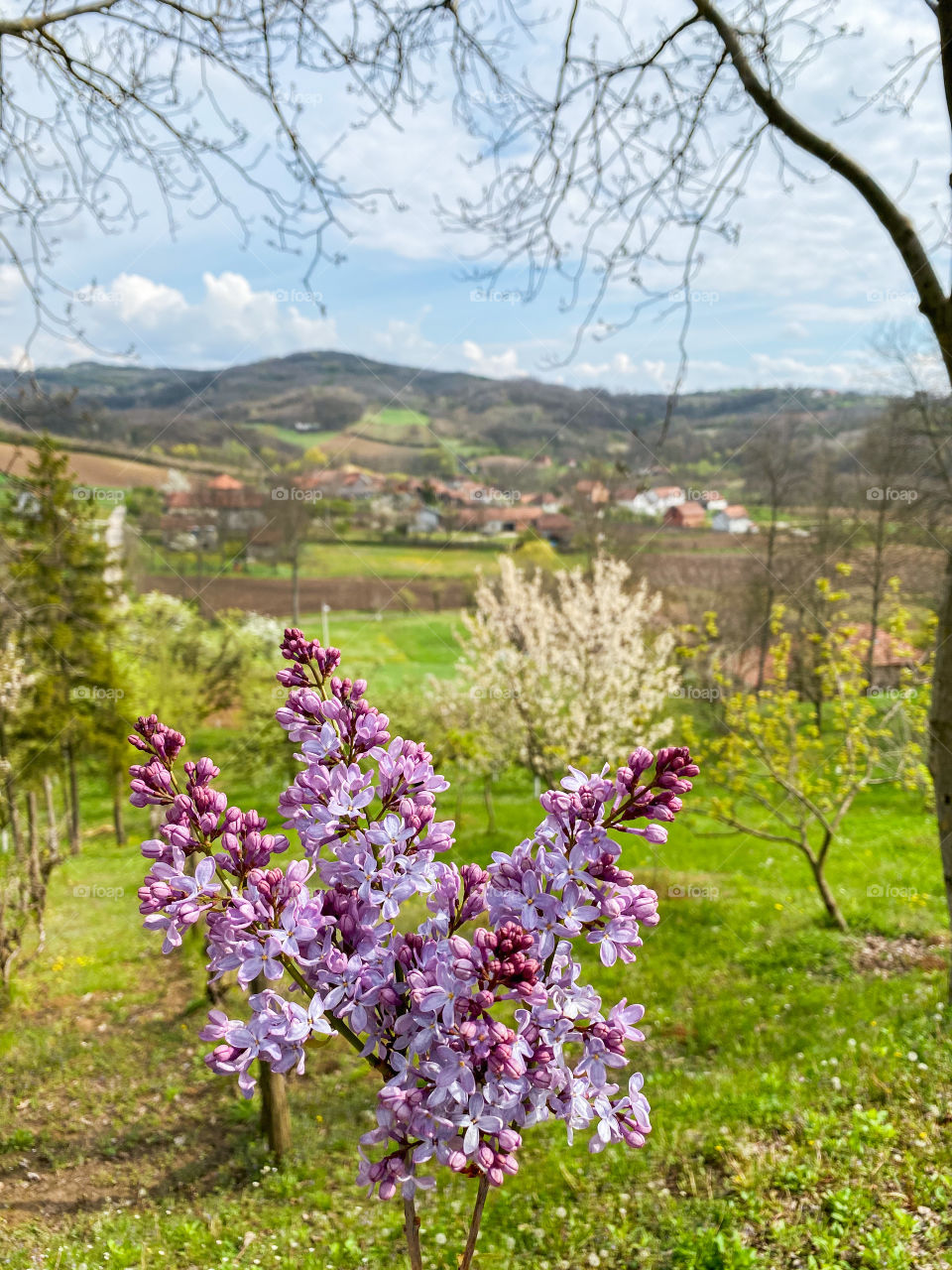 View 🤩🌱🌸📸