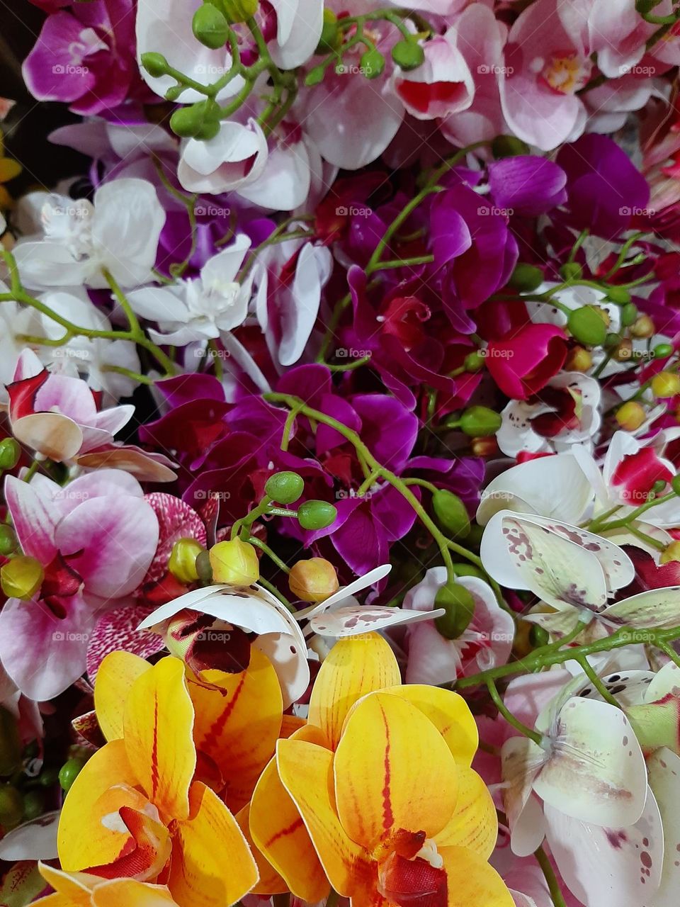 more flowers in Brasil.