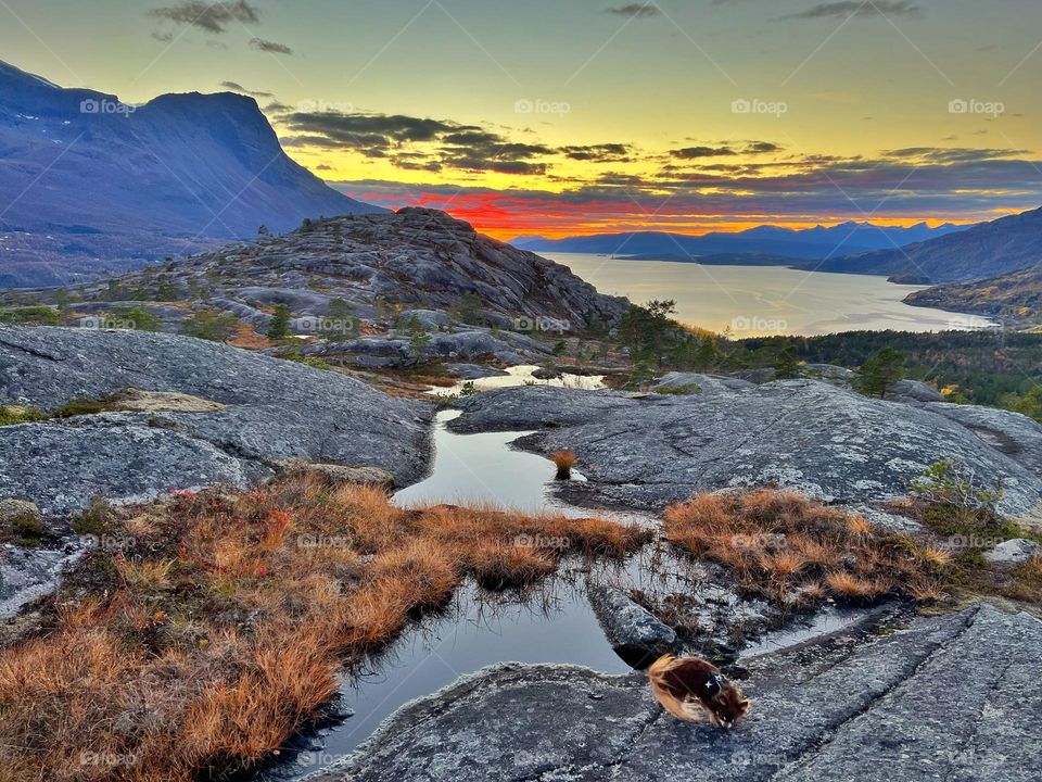 Autumn in the arctic 