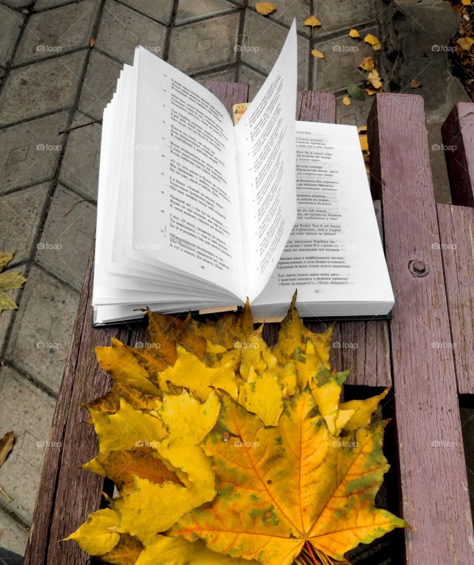 book and leaves