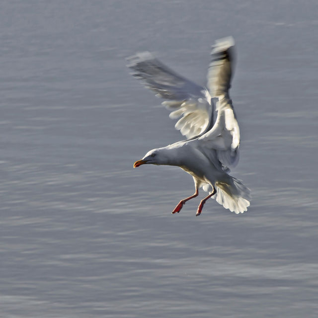 Landing