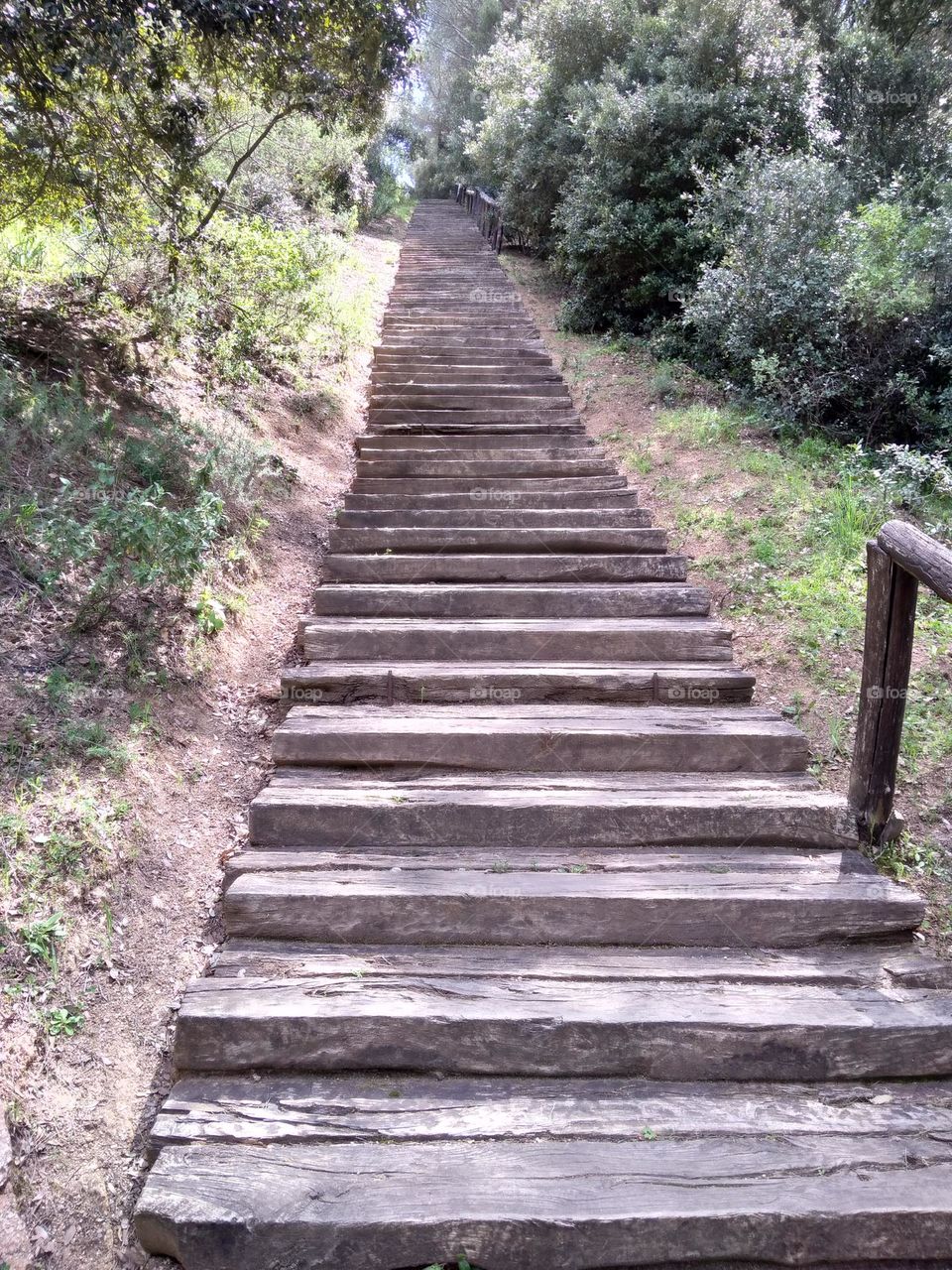 Editors' Choice - Photo of the Week