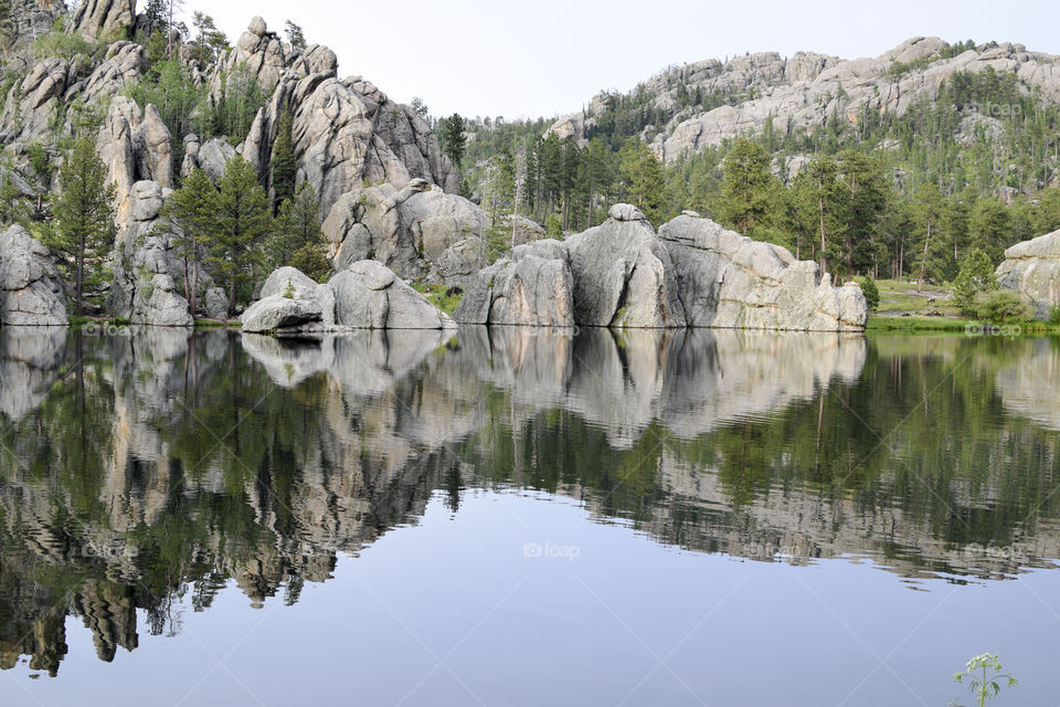 Reflections on a Lake