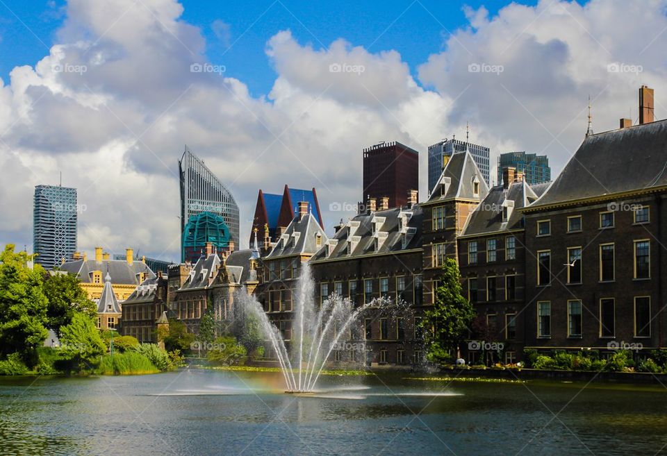 The Hague