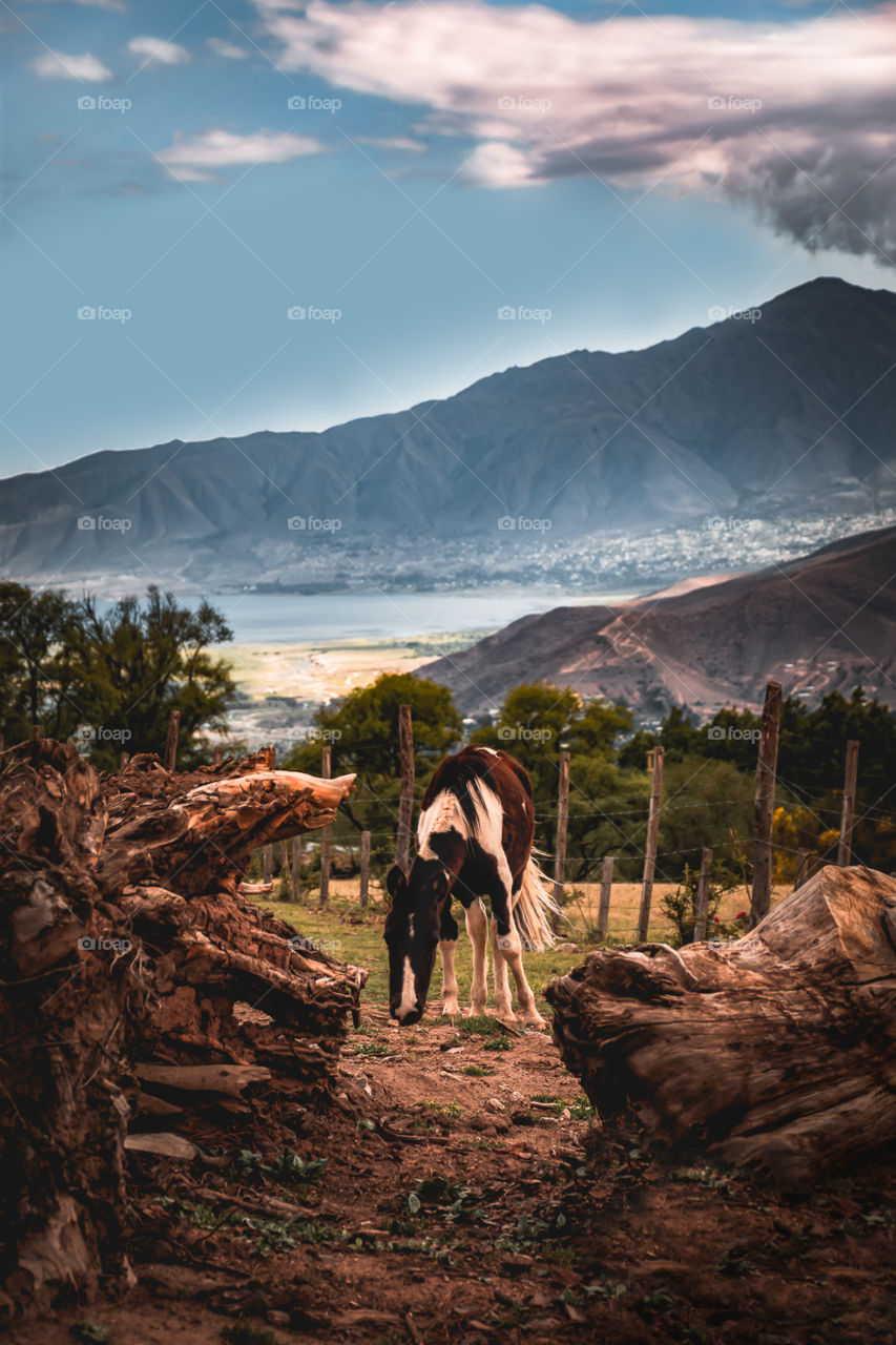 The earth will correspond to our actions