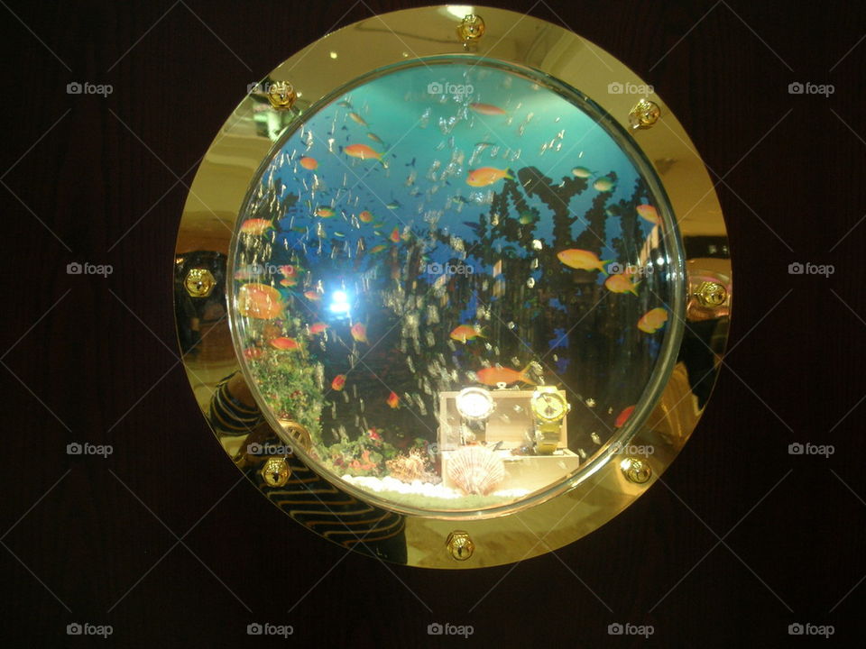 THE GOLD AQUARIUM AT KOWLOON BAY MALL HONG KONG, CHINA