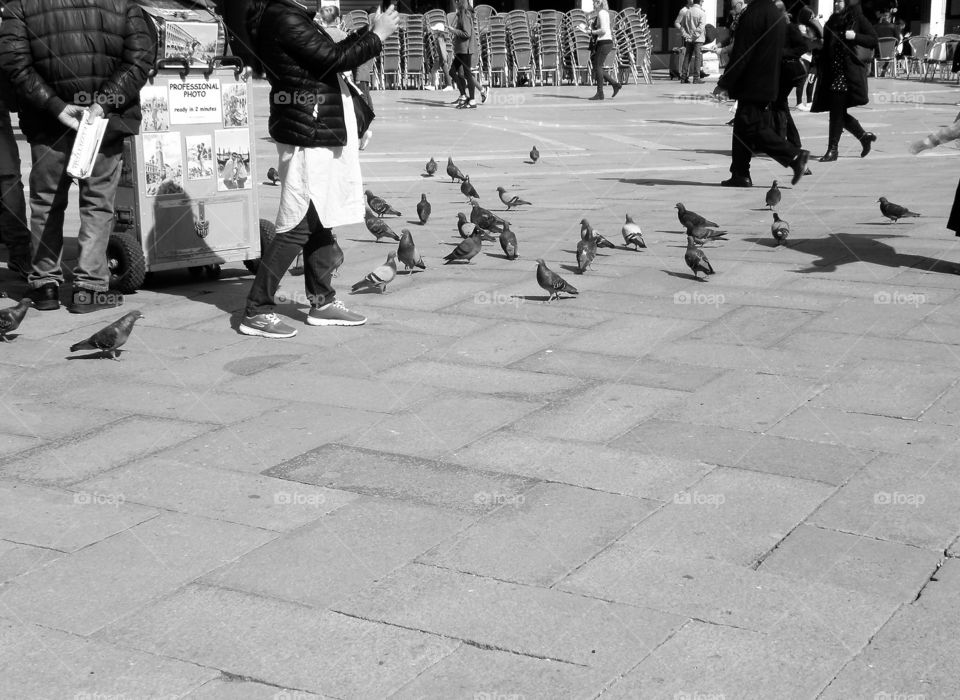 Feeding pigeons in San Marco square in Venice, Italy