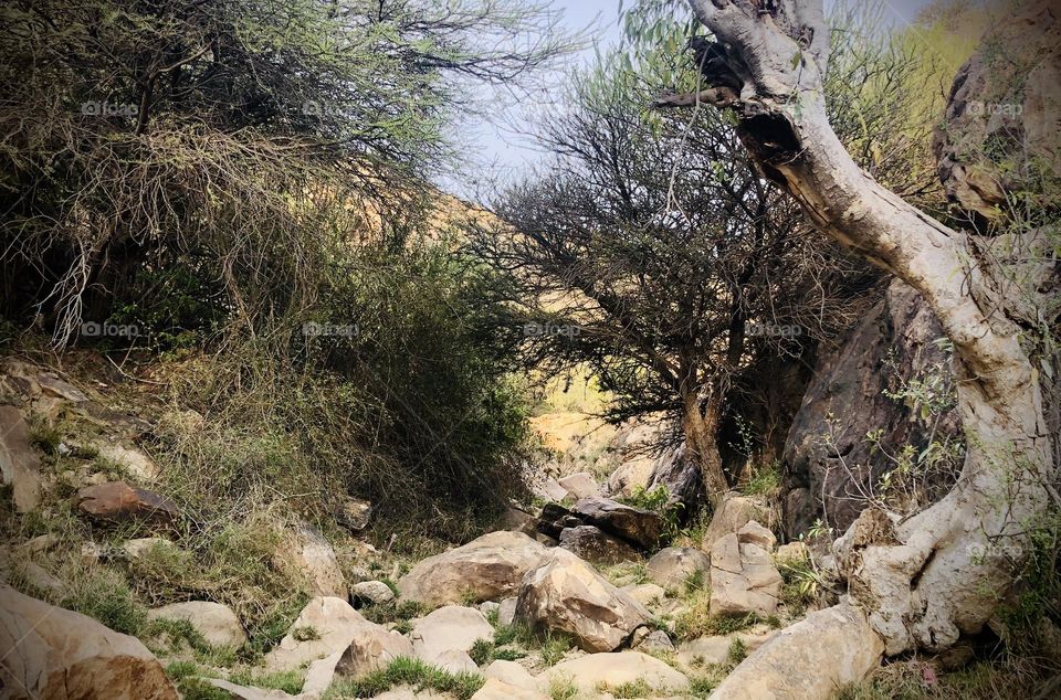 Spring is so beautiful 🥺