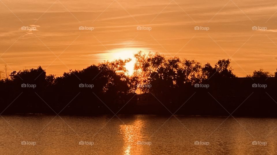 A huge bright intense sunset glowing in the background encompassing the landscape trees birding the shore. 