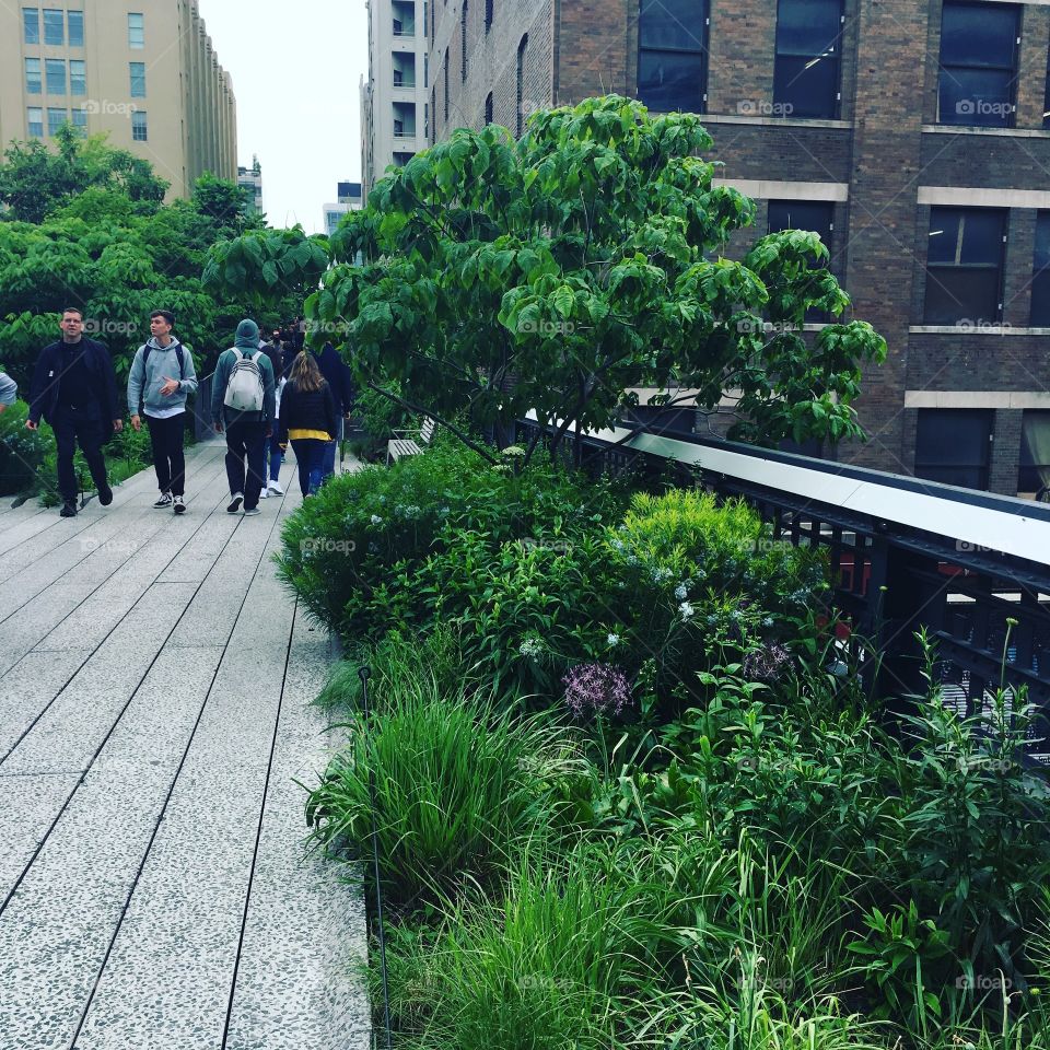 Path on the High Line in New York City.