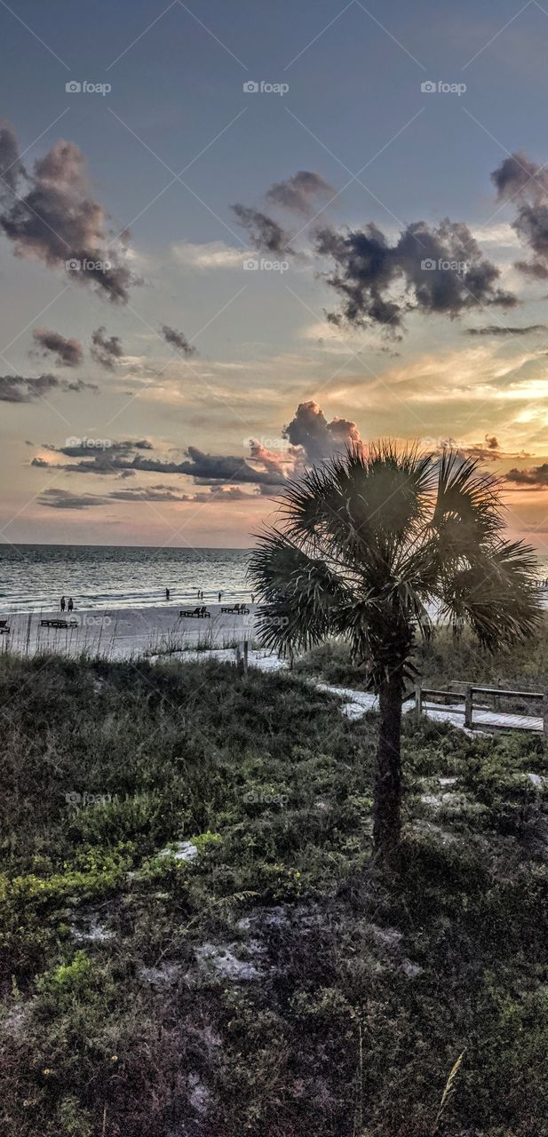 beautiful summer sunrise on the beach