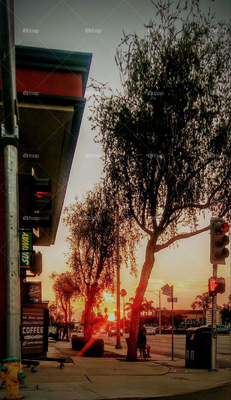 Sunset at the bus stop