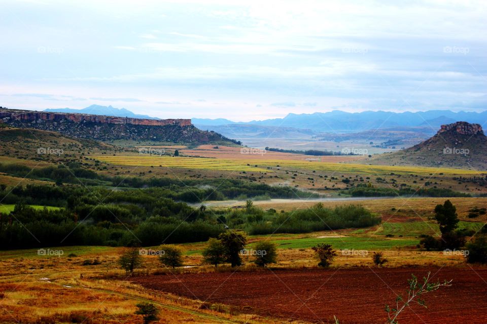fouriesburg area south africa