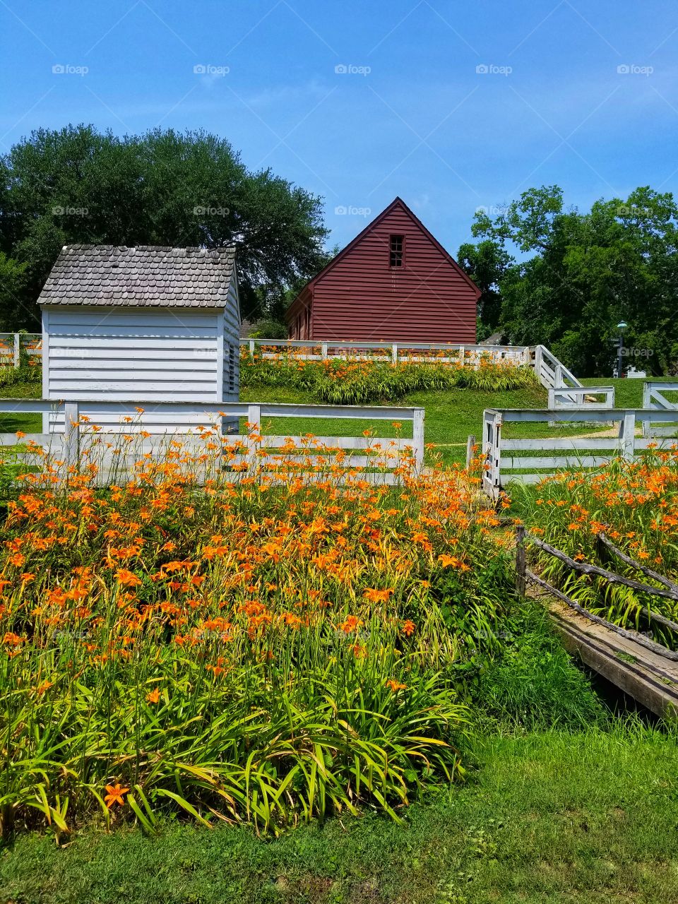 Colonial Williamsburg backyard